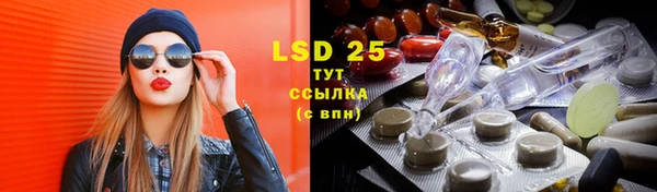 PSILOCYBIN Армянск