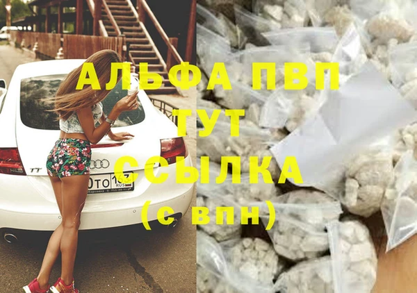 PSILOCYBIN Армянск
