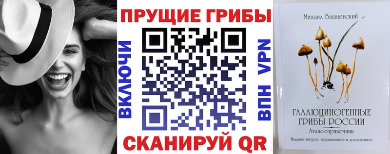Купить  Алзамай  Псилоцибиновые грибы GOLDEN TEACHER 